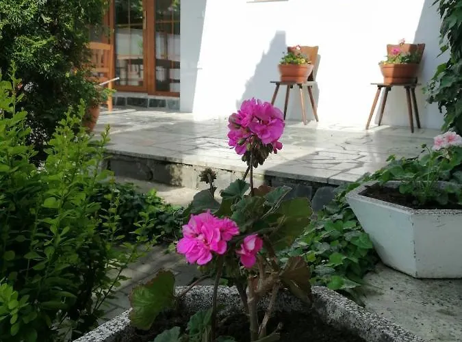 Apartament 62 Novy Prerov